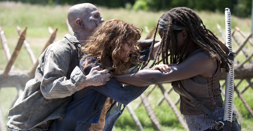 the walking dead 4.jpg