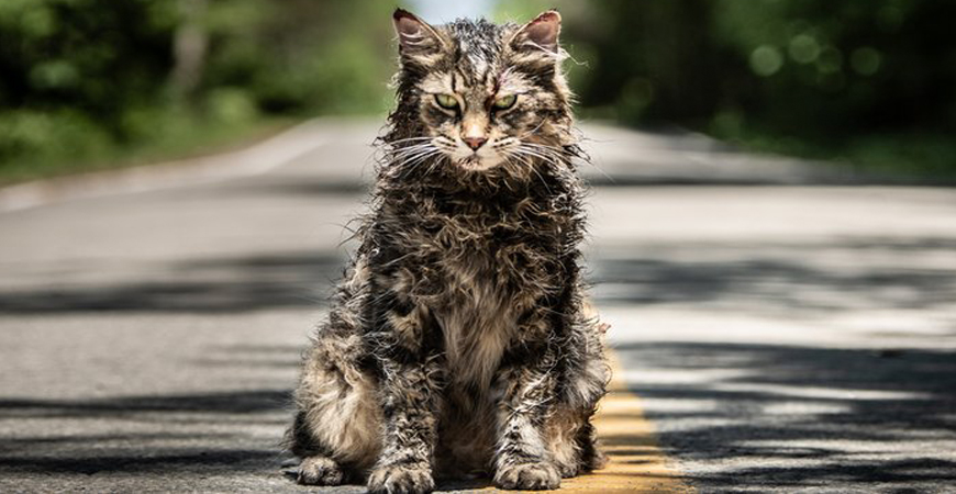 Pet Sematary 3.jpg